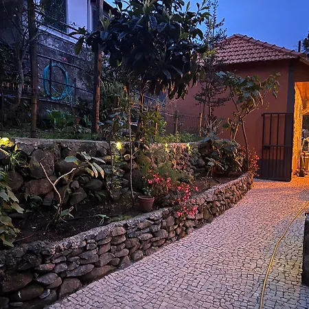 Casa Flor Do Monte 푼샬